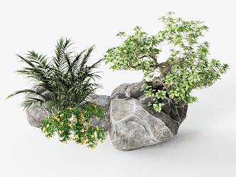 Plant Combination Grass Stone Landscape Stone 3d model