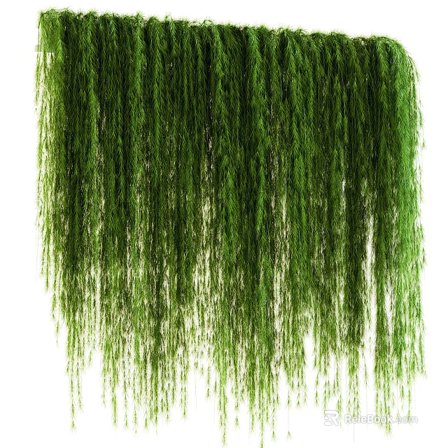Bonsai Potted Plant With Hanging Green Foliage And Long Trailing Leaves 3d model 