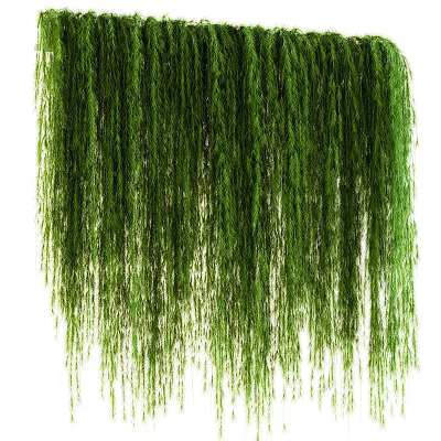 hanging orchid hanging basket weeping willow 3d model