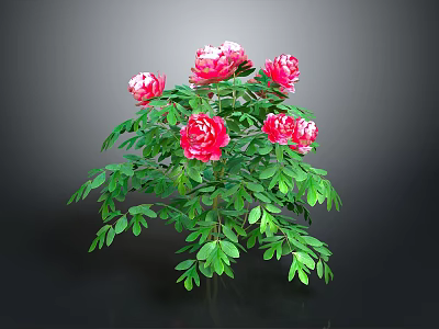 Vibrant Pink Flowering Plant With Blooming Blooms And Lush Green Leaves 3d model
