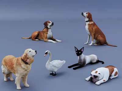 Colorful Reptile Collection Featuring Lizards Turtles And Snakes In Natural Habitat 3d model