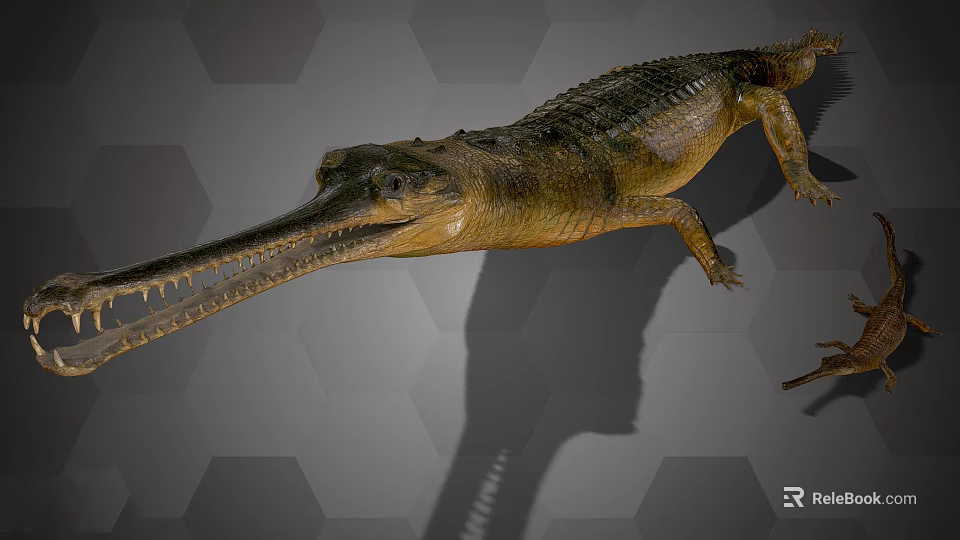 Realistic Long Snouted Crocodile With Scaly Skin On Hexagonal Background 3d model 
