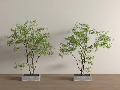 Modern Landscape Tree Modern Landscape Tree 3d model