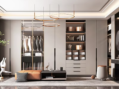 Modern Walk in Closet Interior With Clothing Racks Drawers And Storage Boxes 3d model