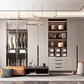 Modern Walk in Closet Interior With Clothing Racks Drawers And Storage Boxes