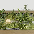 Lush Courtyard Garden with Tropical Plants Ferns Palm Leaves Stones Moss and Circular Decor