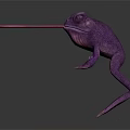 Purple Frog Standing With Extended Long Pink Tongue On White Background