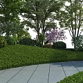Beautiful Park Landscape with Lush Trees Flowering Shrubs and Stone Tile Walkway