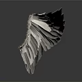White Wings With Detailed Shiny Feathers And Reflection On White Background