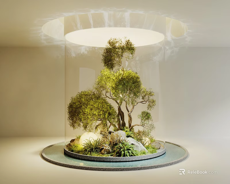 Stylish Indoor Landscape With Transparent Cylindrical Display Small Trees Green Plants And Circular Top Lighting 3d model 