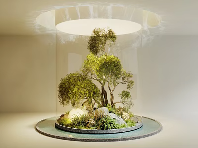 Stylish Indoor Landscape With Transparent Cylindrical Display Small Trees Green Plants And Circular Top Lighting 3d model
