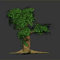 Lush Green Leafy Tree With Curved Trunk Exposed Roots And Gray Background
