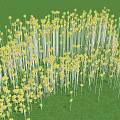 Yellow Flower Shaped Outdoor Lights Arranged On Green Grass Field