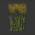 Green Stemmed Plants With Orange Spiky Flowers Against Gray Background