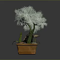 Potted Indoor Plant with Green Leaves Brown Pot Dinosaur Figure and Small Stones