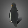 King Penguin With Black And White Feathers And Yellow Neck Standing On Gray Background