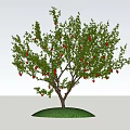 Lush Arbor with Green Leaves Red Fruits and Thick Trunk on Green Grass