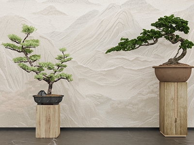 New Chinese potted pine 3d model