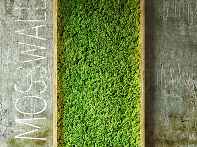 Decorative Green Moss Wall with Wooden Frame Against Gray Concrete Wall in Modern Interior 3d model