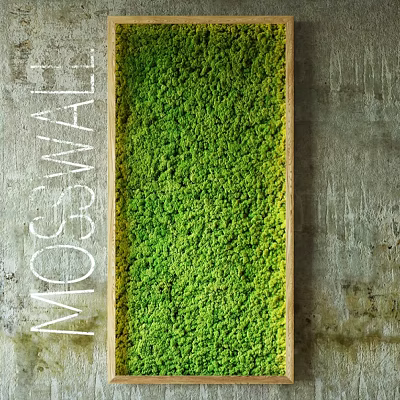 Decorative Green Moss Wall with Wooden Frame Against Gray Concrete Wall in Modern Interior 3d model