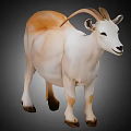 White and Light Brown Goat with Curved Horns Standing Against Gray Background