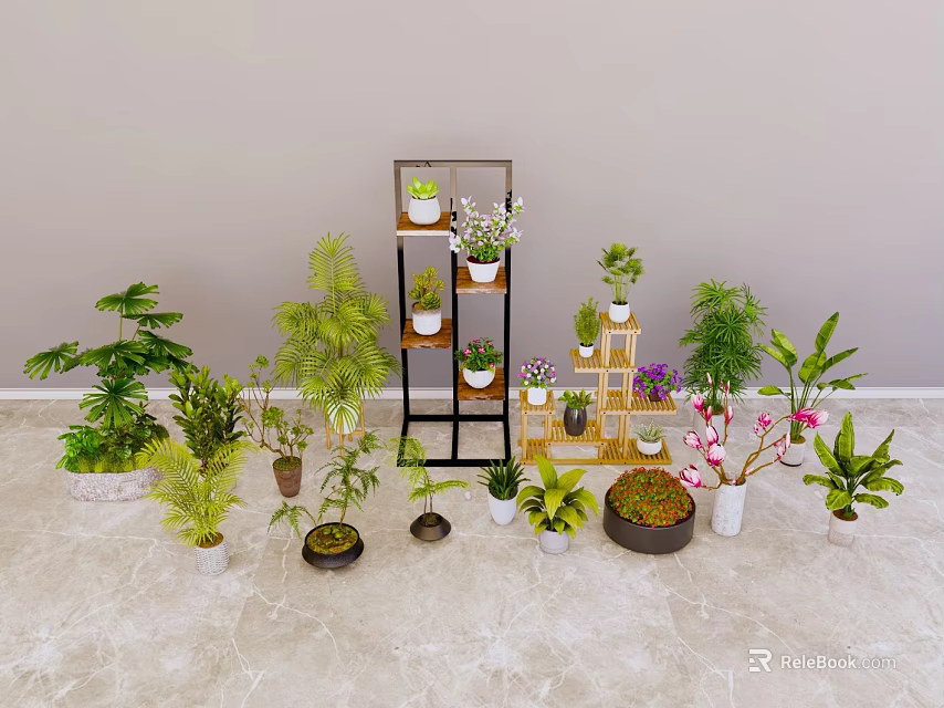 Various Bonsai and Potted Plants with Assorted Greenery and Decorative Shelf 3d model 