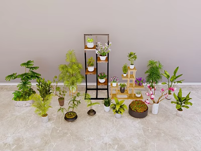 Various Bonsai and Potted Plants with Assorted Greenery and Decorative Shelf 3d model