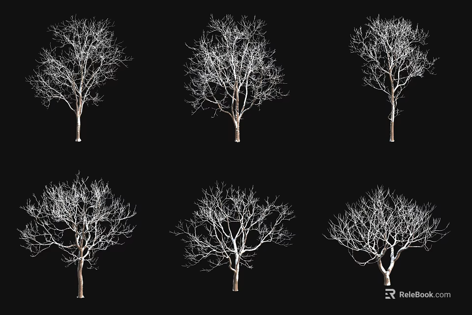 Six Leafless Arbor Trees With White Branches On Black Background 3d model 