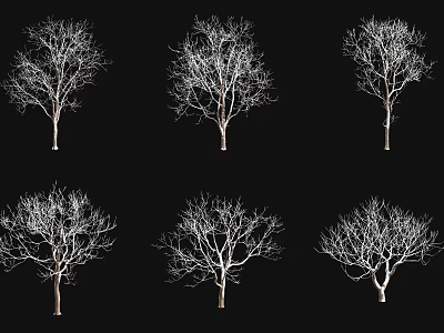Six Leafless Arbor Trees With White Branches On Black Background 3d model