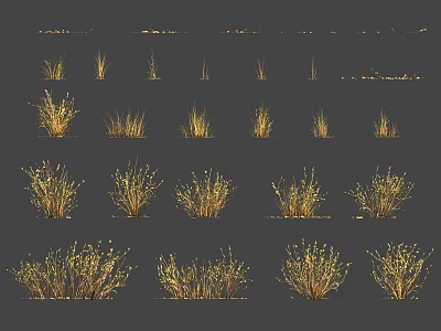 Yellow Ornamental Grasses In Various Sizes And Shapes On Dark Background 3d model