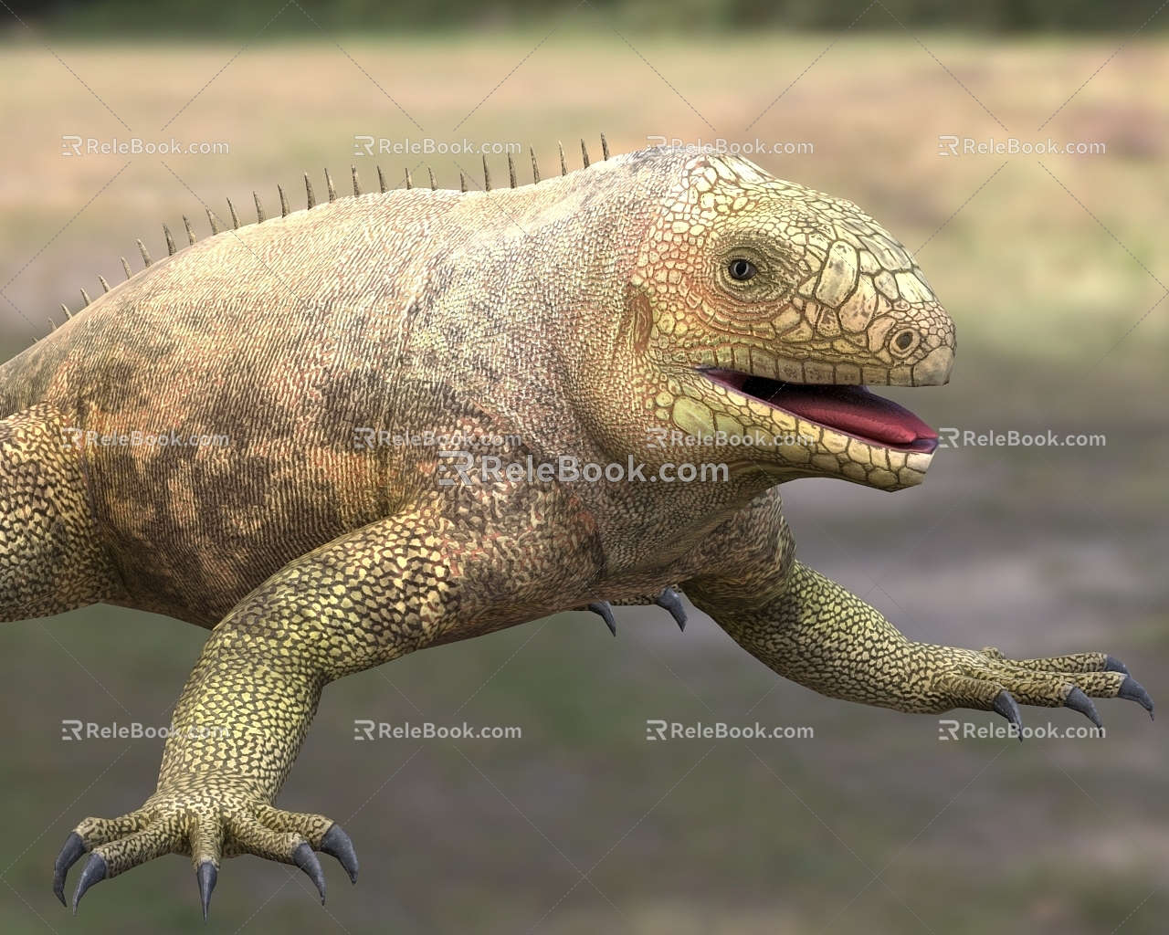 Barrington Island Land Iguana Santa Fe Island Land Iguana Animals 3d model