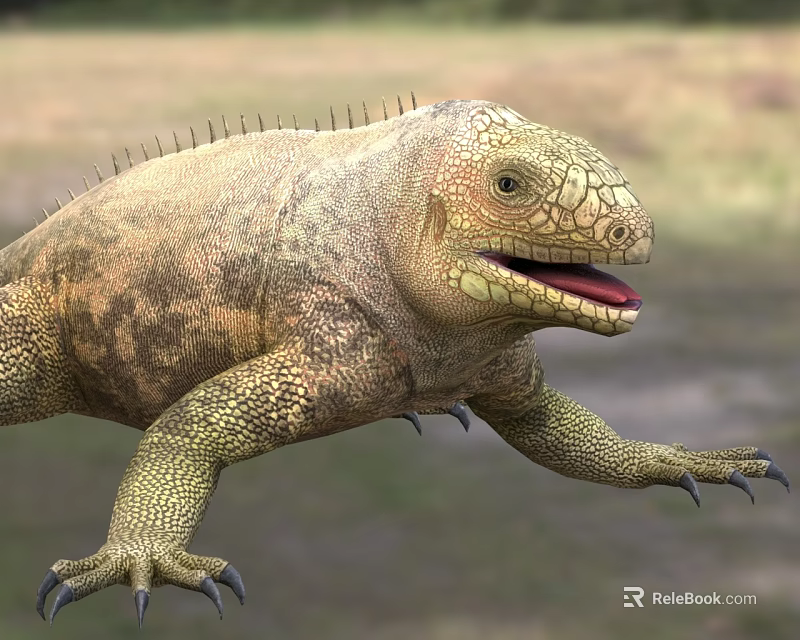 Large Reptile With Textured Skin And Sharp Claws 3d model 