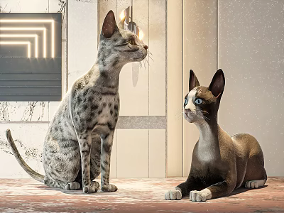 Two Cats Standing And Lying On Modern Interior Floor With Wall Lighting 3d model