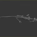 Detailed Small Animal Skeleton With Long Tail On Gray Reflective Surface
