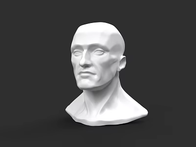 White Male Head Bust Sculpture on Black Background with Smooth Surface 3d model