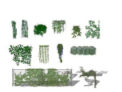 Various Decorative Vines Including Climbing Hanging Bushy And Grid Covering Types 3d model