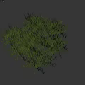 Lush Green Grass With Fresh Blades Growing In Neat Cluster Against White Background