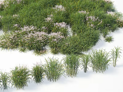 Green Grass Herbs and Purple Flower Blooms in Natural Garden Landscape Design 3d model