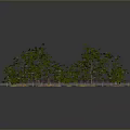 Scenic Landscape With Asphalt Road Yellow Lines Green Trees Brown Ground And Gray Structures