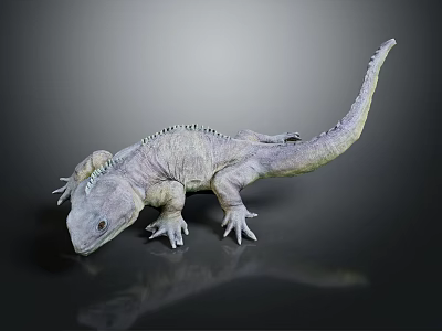 Realistic Gray Lizard 3D Model With Detailed Scales And Long Tail 3d model