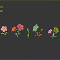 Orange Flowers With Green Stems And Leaves On Grey Background With Reflections