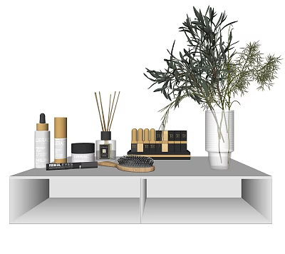 Modern Cosmetic Combinations 3d model