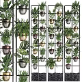 Stylish Indoor Plant Combinations With Green Foliage In Metal Planters On Grid Shelves