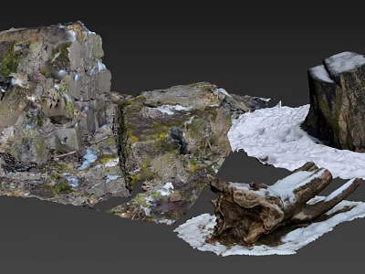 Mossy Stone and Weathered Wood Logs in Snow Covered Natural Outdoor Scene 3d model