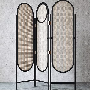 Silent screen rattan screen partition 3d model