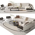 Modern Sofa Coffee Table Combination With Accent Chairs Round Rug And Decorative Plants 3d model