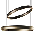 Modern Double Ring Metallic Pendant Light Hanging With Illuminated Circular Shade 3d model