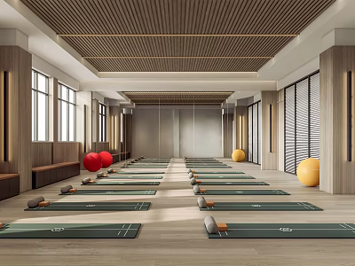 Spacious Yoga Fitness Studio With Neatly Arranged Mats Colorful Exercise Balls Wooden Floors Large Windows 3d model