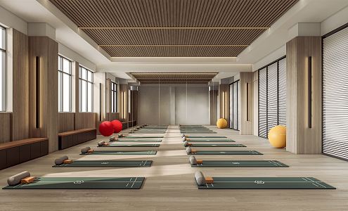 Modern Yoga Room 3d model