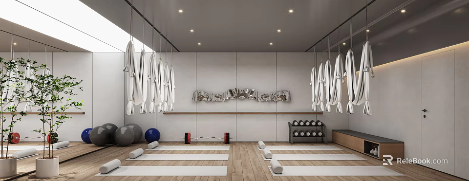 Modern Fitness Studio Interior With Suspended Rings Yoga Mats And Training Equipment 3d model 